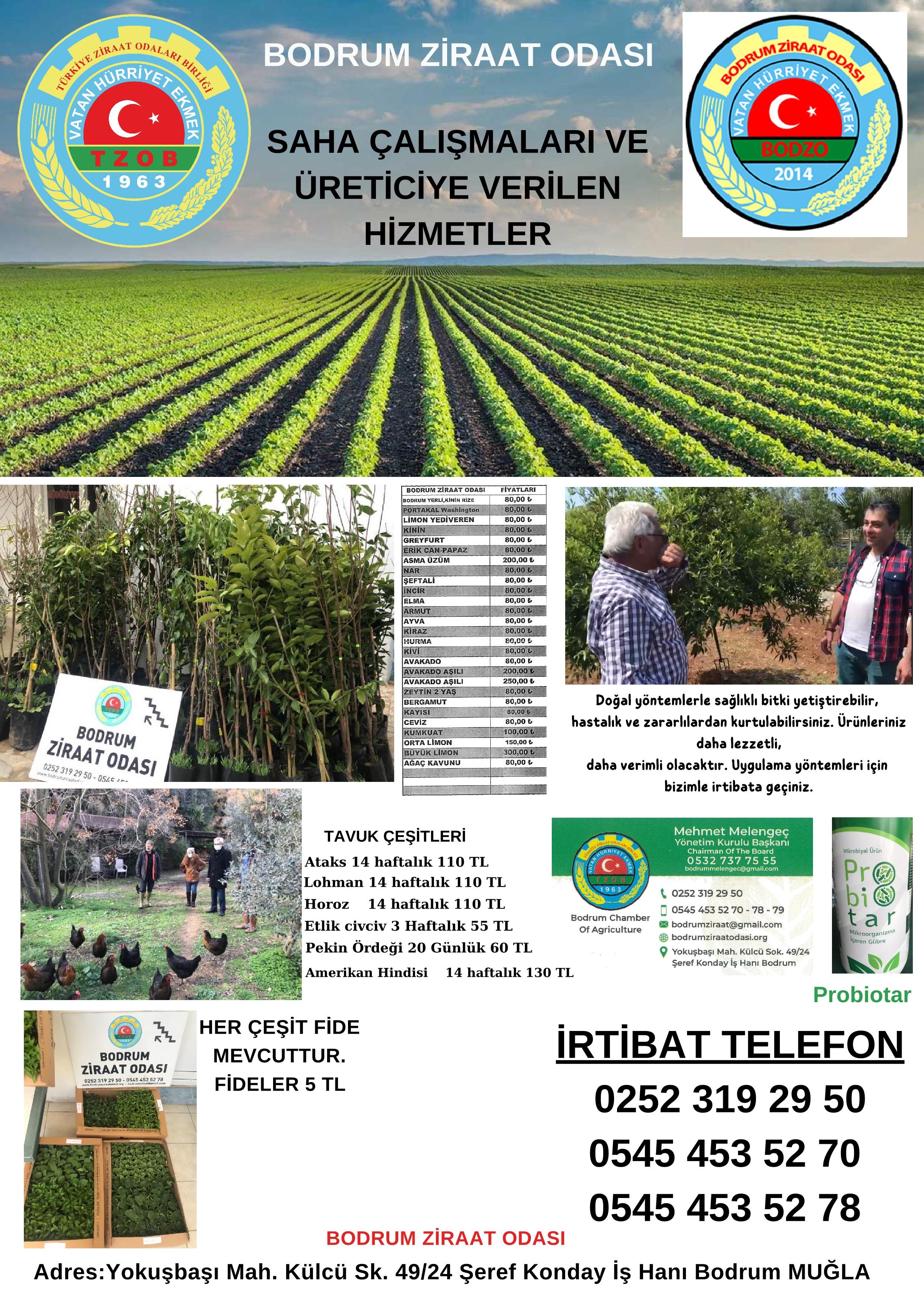 Saha Çalışmaları ve Üreticiye Verilen Hizmetler